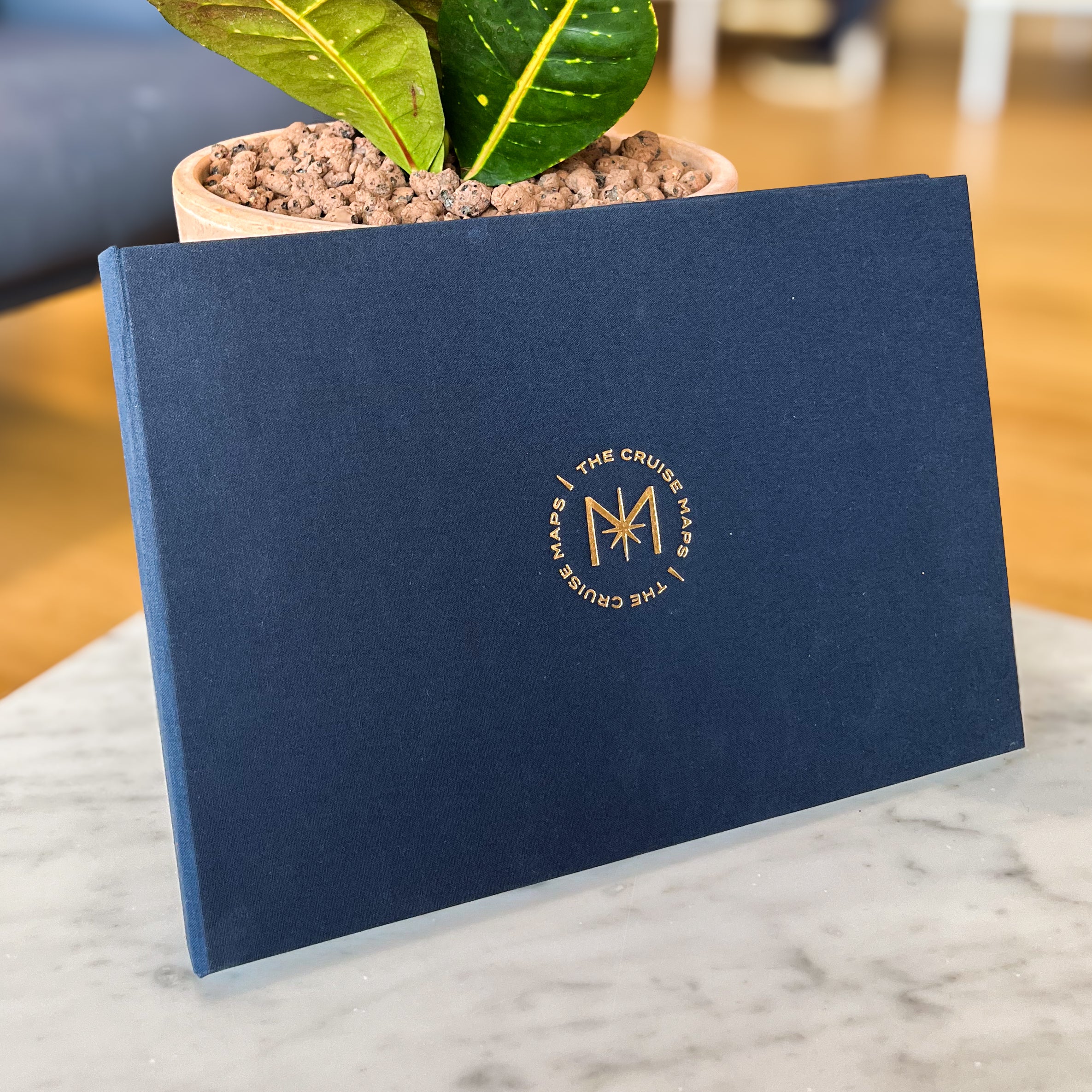 The Cruise Album - Image 4