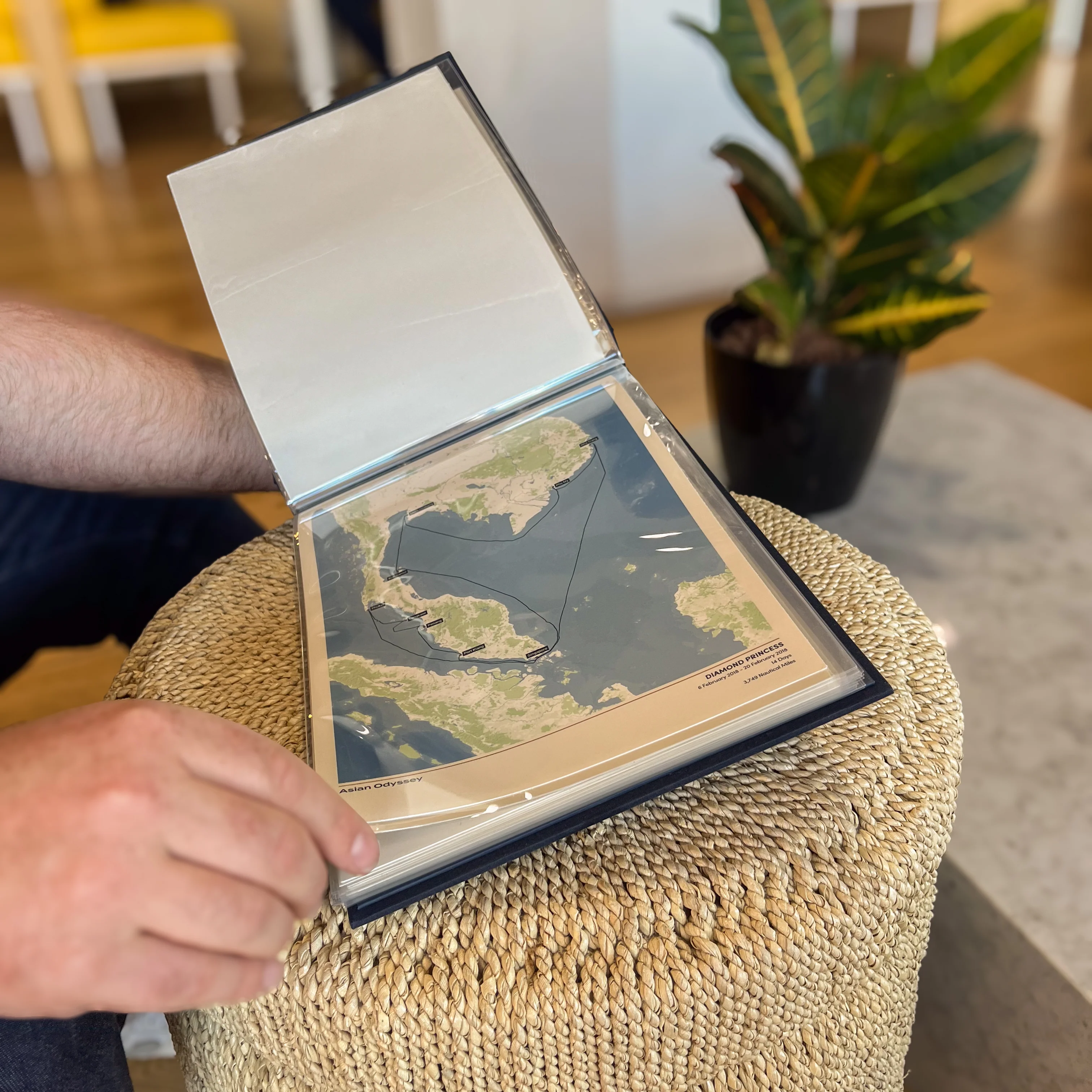 The Cruise Album - Image 6