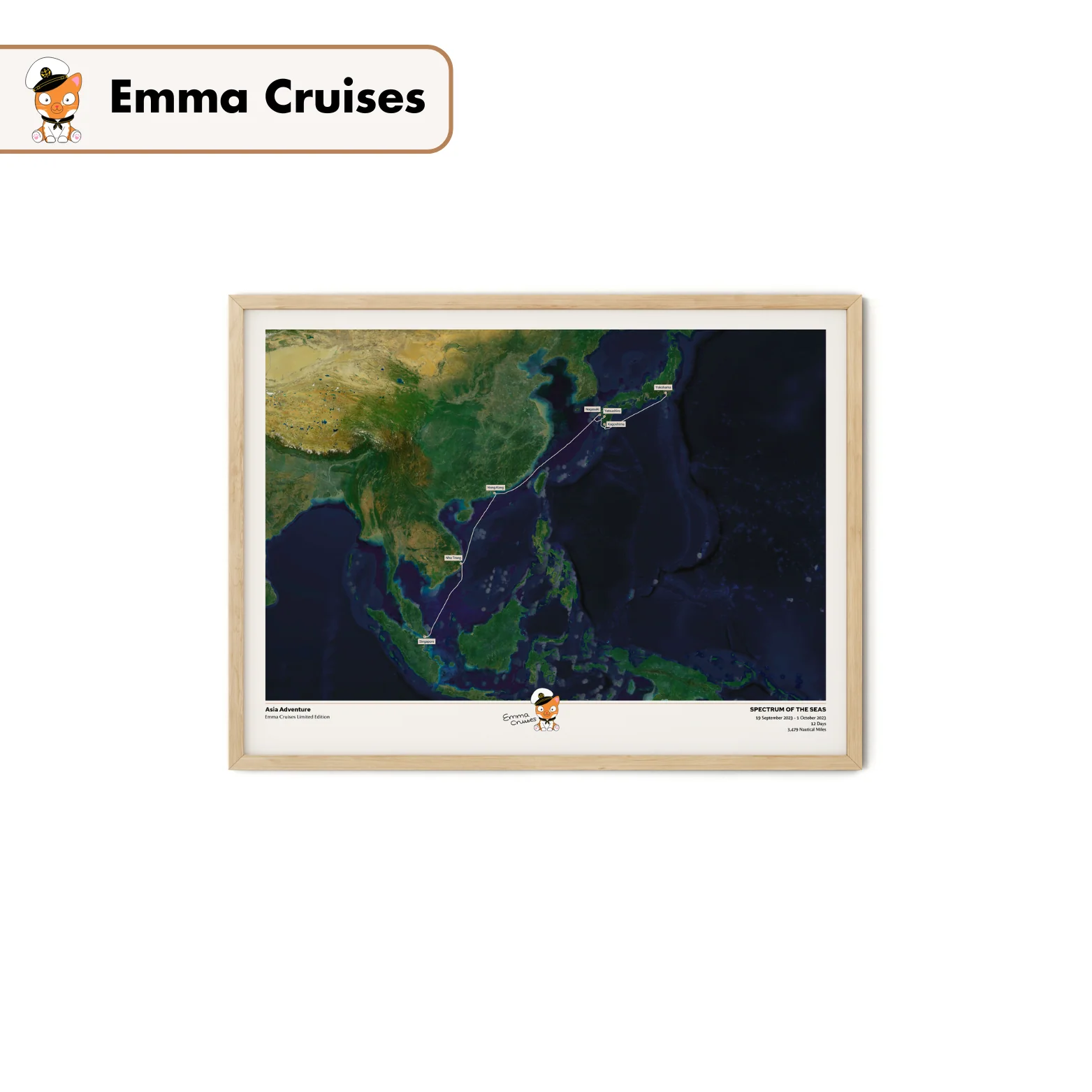 Emma Cruises Custom Cruise Map (Limited Edition) - Satellite - Image 11