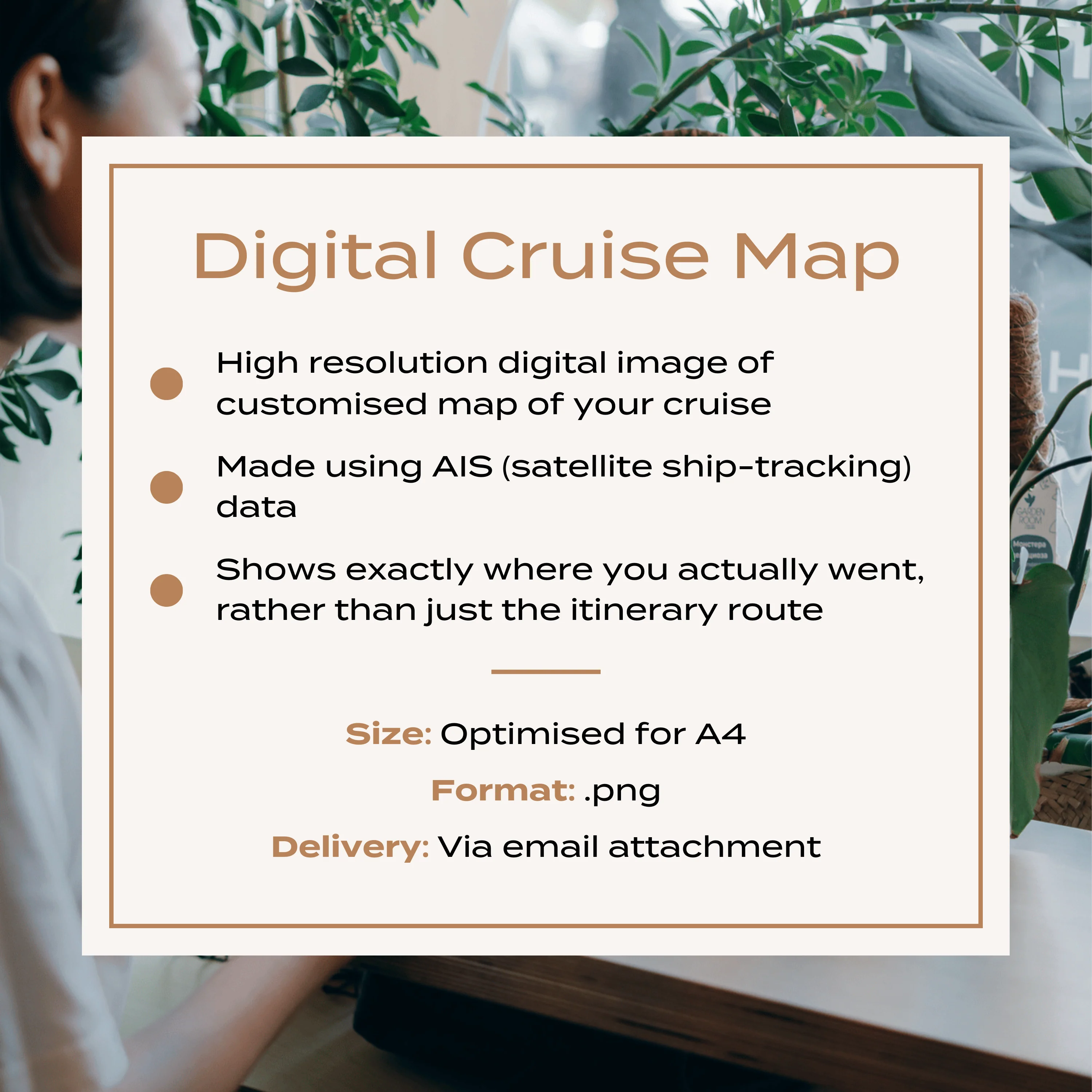 P&O Cruises Digital Cruise Map - Satellite - Image 7