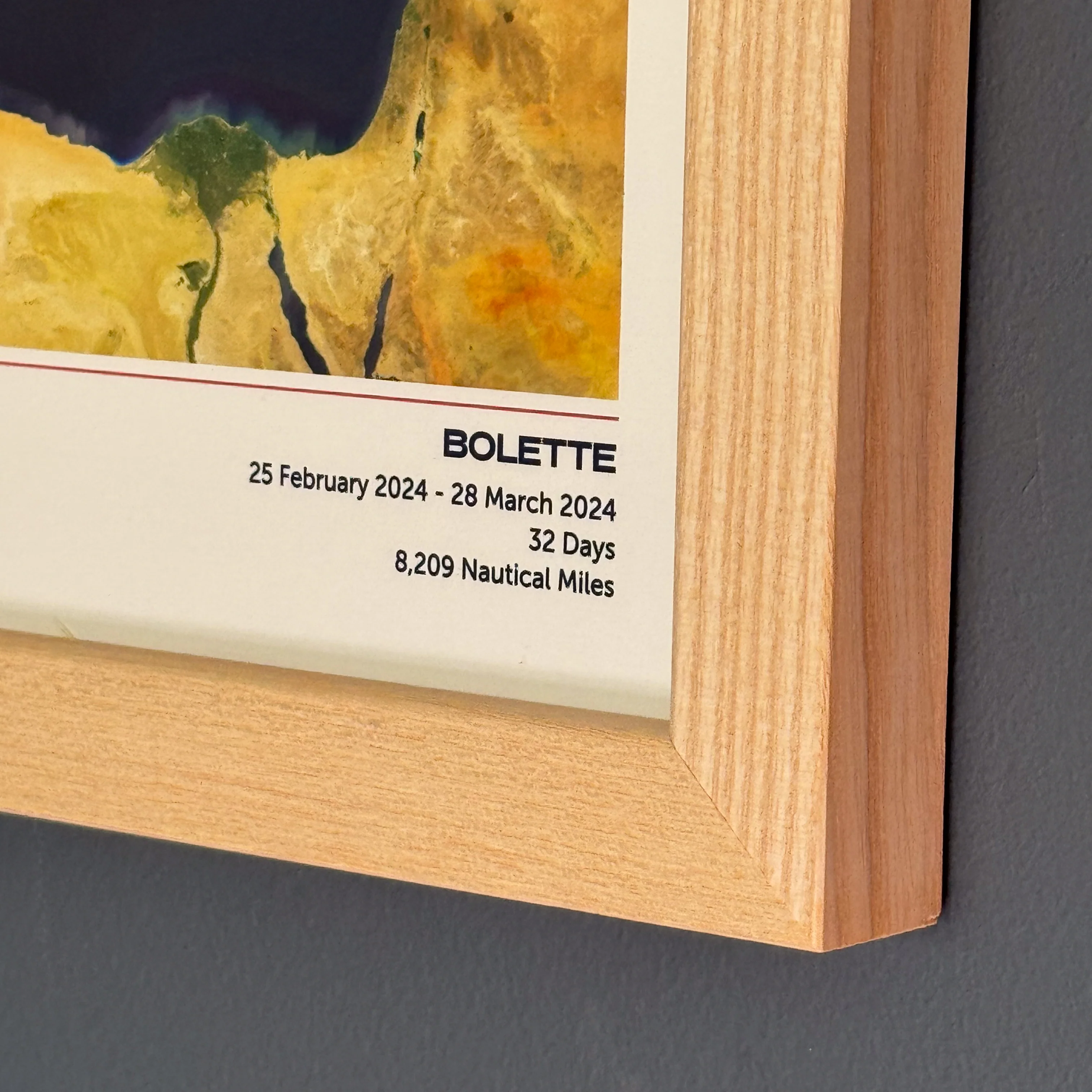 Fred. Olsen Custom Cruise Map - Satellite - Image 3