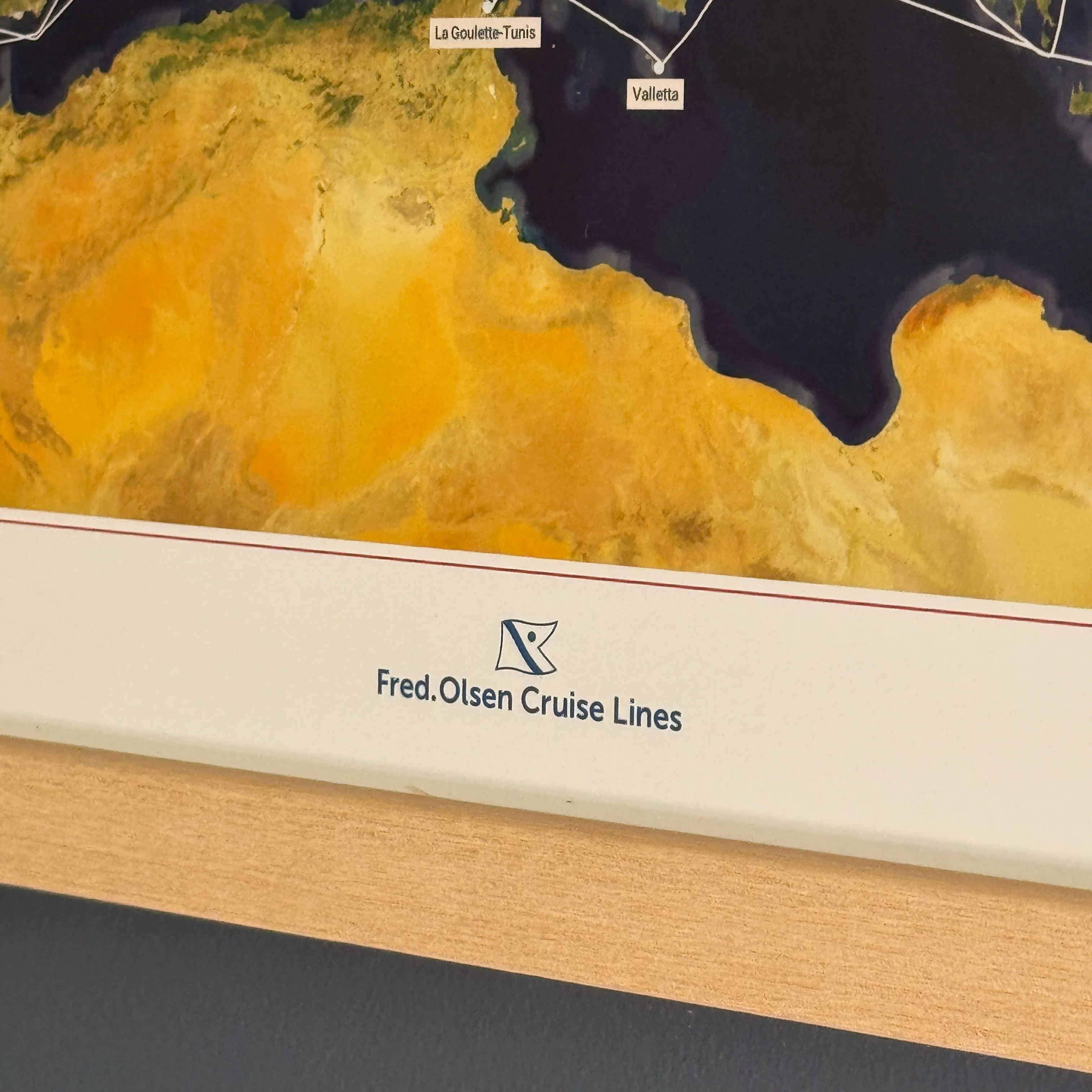 Fred. Olsen Custom Cruise Map - Satellite - Image 4